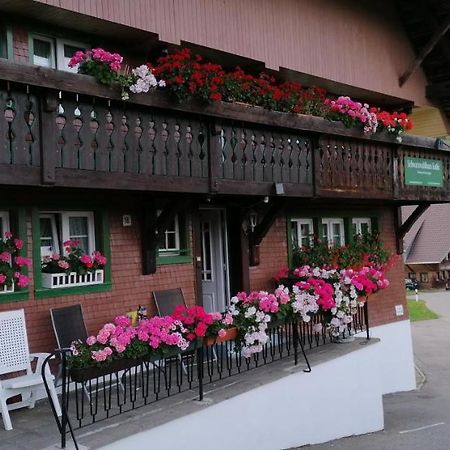 Schwarzwaldhaus Kathi Lägenhet Todtmoos Exteriör bild