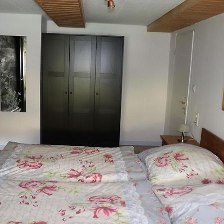 Schwarzwaldhaus Kathi Lägenhet Todtmoos Exteriör bild