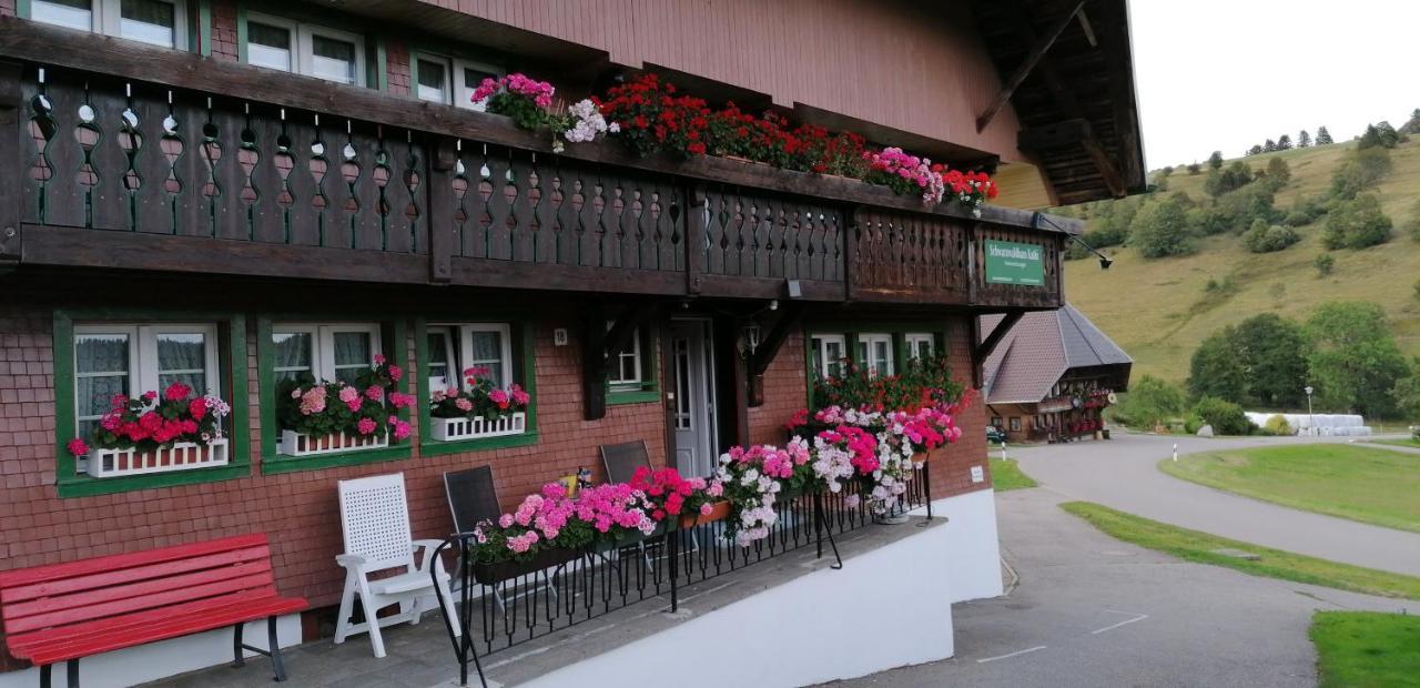 Schwarzwaldhaus Kathi Lägenhet Todtmoos Exteriör bild