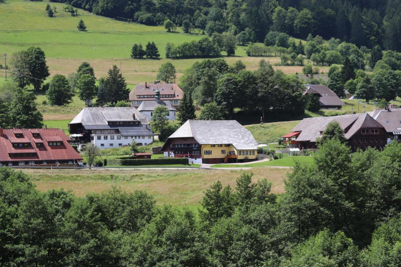 Schwarzwaldhaus Kathi Lägenhet Todtmoos Exteriör bild