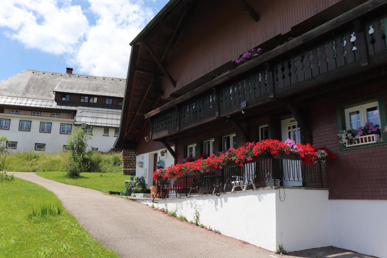 Schwarzwaldhaus Kathi Lägenhet Todtmoos Exteriör bild