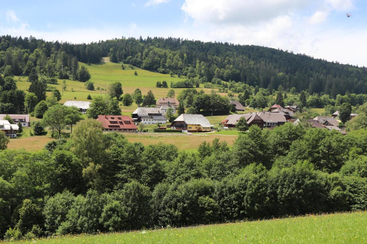 Schwarzwaldhaus Kathi Lägenhet Todtmoos Exteriör bild