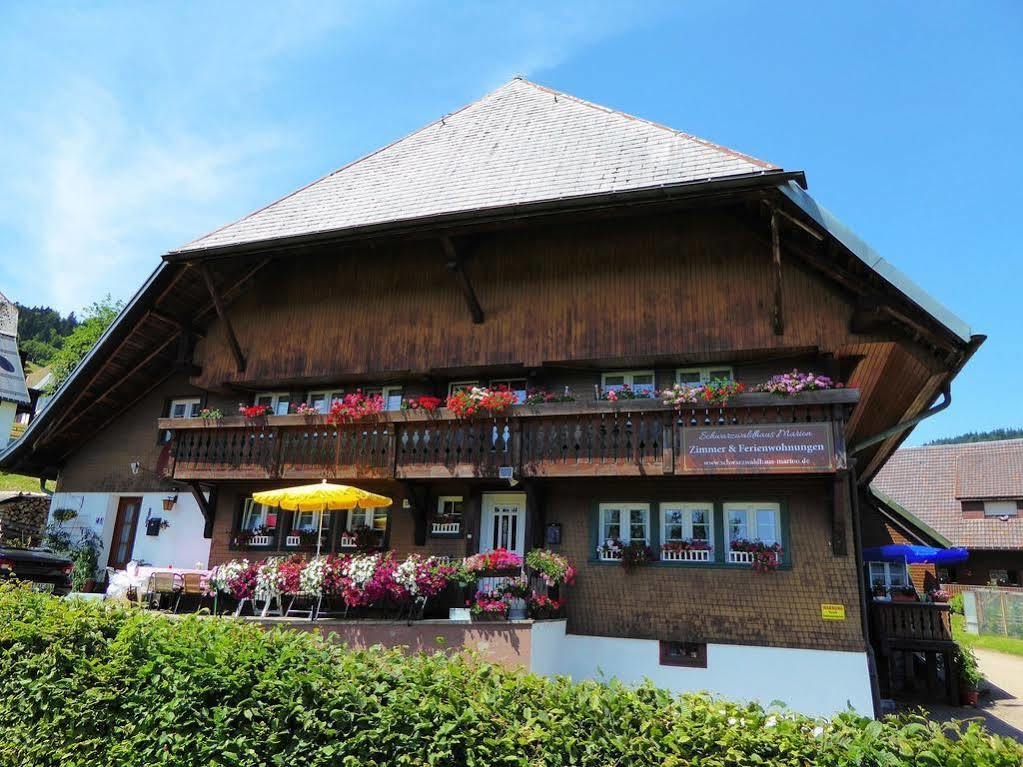Schwarzwaldhaus Kathi Lägenhet Todtmoos Exteriör bild