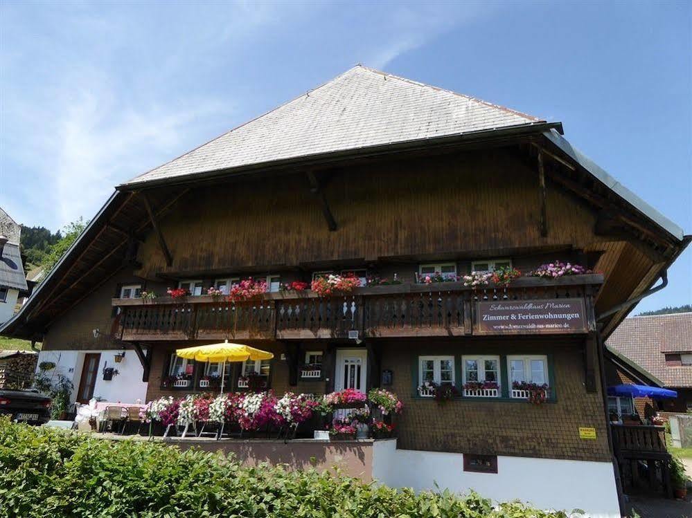 Schwarzwaldhaus Kathi Lägenhet Todtmoos Exteriör bild